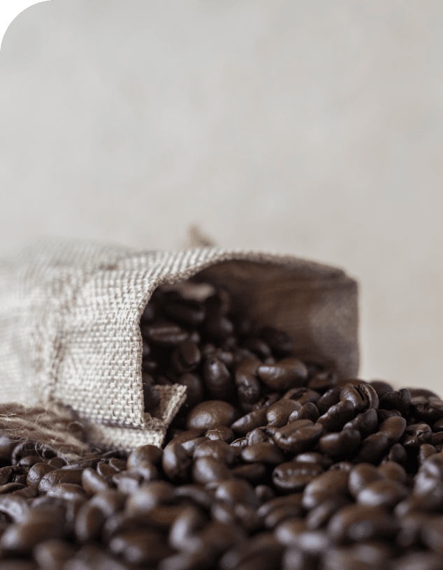 自由に楽しむ新しいコーヒー習慣へ